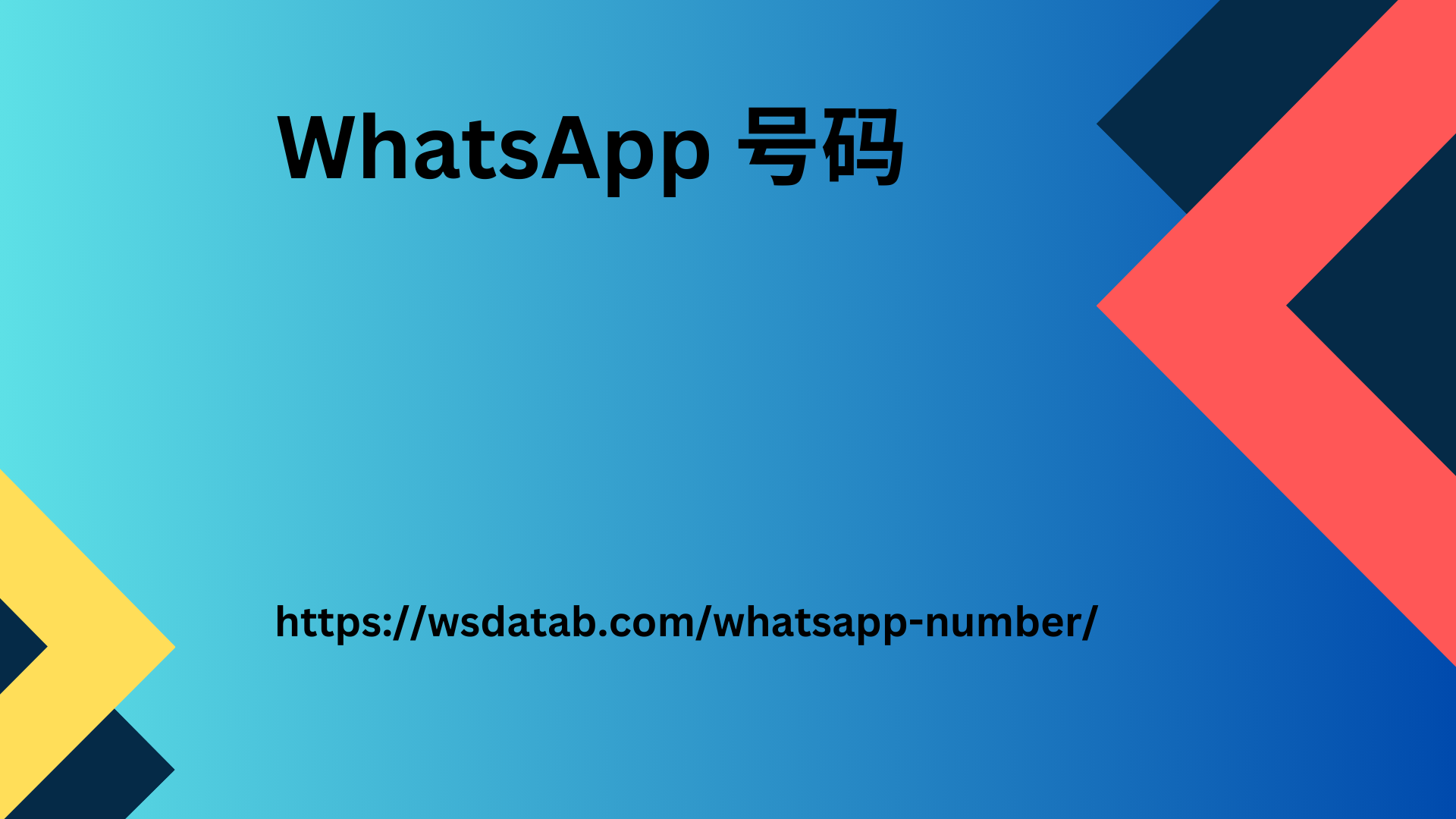 WhatsApp 号码