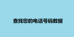 查找您的电话号码数据
